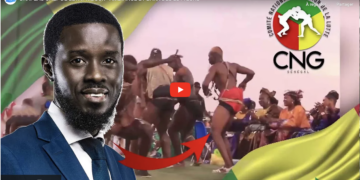 Drapeau du chef de l’État Mbour : Ambiance et bakks des lutteurs au rendez-vous