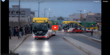 Attente du démarrage effectif du BRT :  Réactions des chauffeurs, piétons et autres usagers de la route