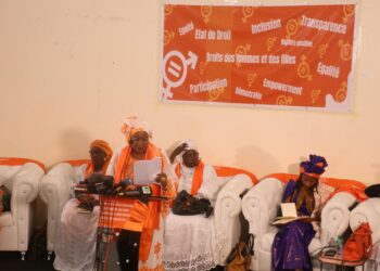 Droit des femmes et des filles : Pourquoi les femmes exigent la réintégration du ministère de la Femme dans le gouvernement