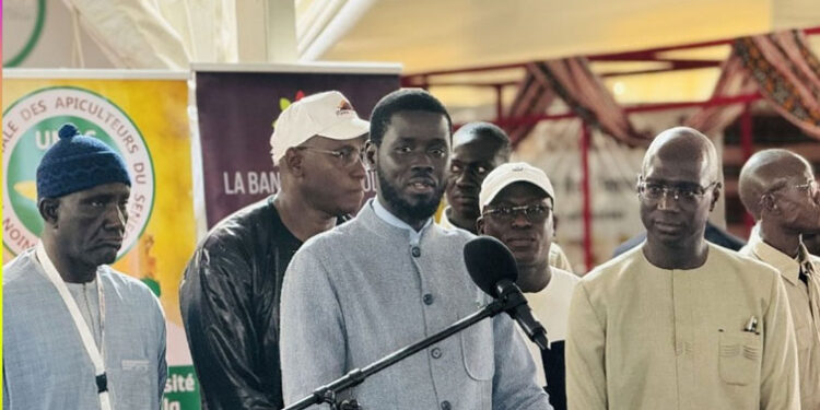 Visite du président Diomaye à la Fiara : Le point de vue du chef de l’État sur la Loi agro-sylvopastorale 1 Visite du président Diomaye à la Fiara : Le point de vue du chef de l’État sur la Loi agro-sylvopastorale