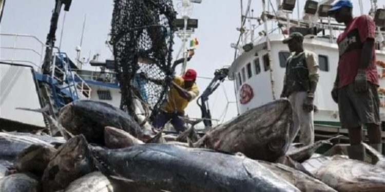 Publication de la liste des navires de pêche : Le oui-mais du Gaipes