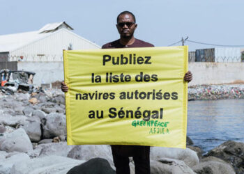 Publication de la liste des navires de pêche par le Sénégal : La réaction de Greenpeace Afrique