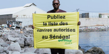 Publication de la liste des navires de pêche par le Sénégal : La réaction de Greenpeace Afrique