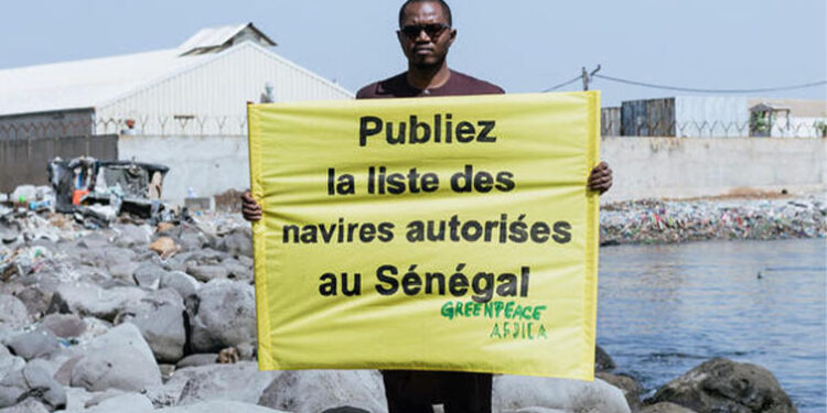 Publication de la liste des navires de pêche par le Sénégal : La réaction de Greenpeace Afrique 1 Publication de la liste des navires de pêche par le Sénégal : La réaction de Greenpeace Afrique