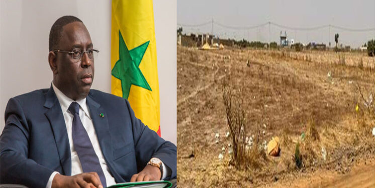 [Enquête] Foncier de la Nouvelle ville de Thiès : Chacun avec sa parcelle de responsabilité