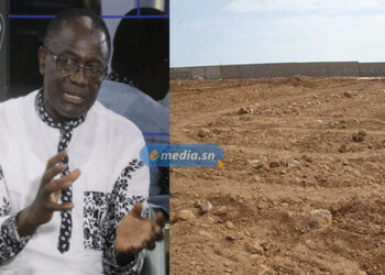 Mamadou Mignane Diouf : « Pourquoi cet accaparement des terres aussi, c’est la faute de l’Etat »