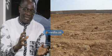 Mamadou Mignane Diouf : « Pourquoi cet accaparement des terres aussi, c&rsquo;est la faute de l’Etat »