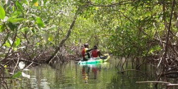 Découverte macabre à Cap Skirring : Un ressortissant français retrouvé mort dans les mangroves
