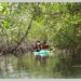 Découverte macabre à Cap Skirring : Un ressortissant français retrouvé mort dans les mangroves 6 Découverte macabre à Cap Skirring : Un ressortissant français retrouvé mort dans les mangroves