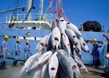 Contrat de pêche avec le Sénégal, visa de l’espace Schengen : La Team Europe donne sa version