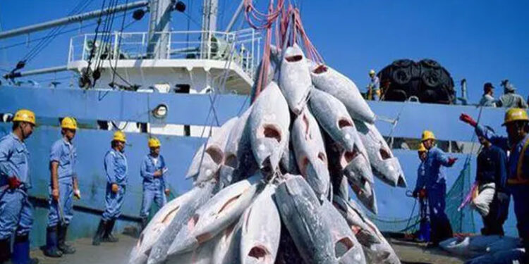 Contrat de pêche avec le Sénégal, visa de l’espace Schengen : La Team Europe donne sa version