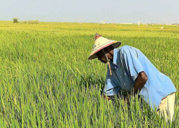 Le Billet du Baadoolo : Souveraineté élémentaire