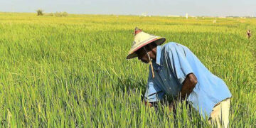 Le Billet du Baadoolo : Souveraineté élémentaire 5 Le Billet du Baadoolo : Souveraineté élémentaire