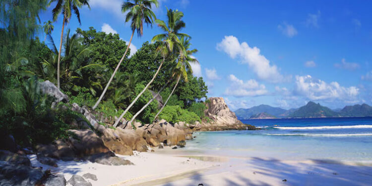 Tentative d’entrer illégalement en Australie : Le sort réservé à 5 migrants sénégalais