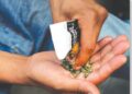 [DOSSIER] Les effets de la drogue Kush : Diabète, cancers de poumon ou d’ORL, hallucination, euphorie
