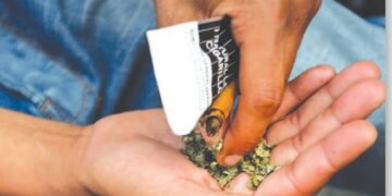 [DOSSIER] Les effets de la drogue Kush : Diabète, cancers de poumon ou d’ORL, hallucination, euphorie