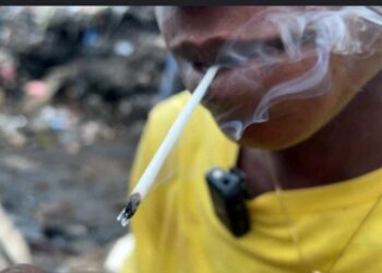 [DOSSIER] DROGUE KUSH : Au moins 38 morts en Guinée depuis le début de l’année