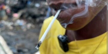 [DOSSIER] DROGUE KUSH : Au moins 38 morts en Guinée depuis le début de l&rsquo;année