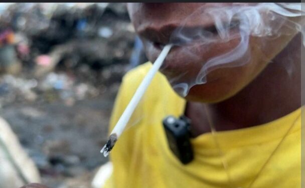 [DOSSIER] DROGUE KUSH : Au moins 38 morts en Guinée depuis le début de l’année