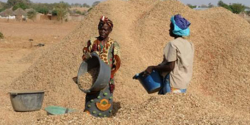 C&rsquo;est bien parti pour une bonne campagne agricole