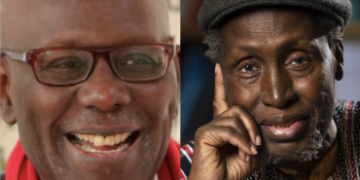 Boris Diop propose à Diomaye d’abroger l’article 28 de la Constitution