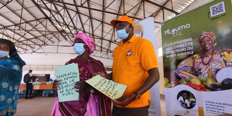 Digitalisation du secteur agricole : un nouvel outil technologique lancé pour les agriculteur 1 Digitalisation du secteur agricole : un nouvel outil technologique lancé pour les agriculteur