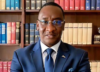 Graines de Changement : L’agriculture, nouveau fer de lance du développement au Sénégal