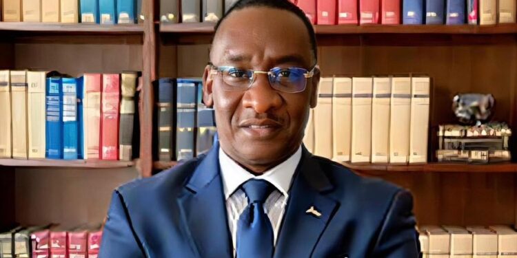 Graines de Changement : L’agriculture, nouveau fer de lance du développement au Sénégal