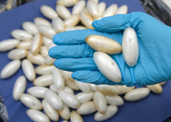 Saisie de 310 kg de cocaïne : 3 Français arrêtés par la gendarmerie de Popenguine