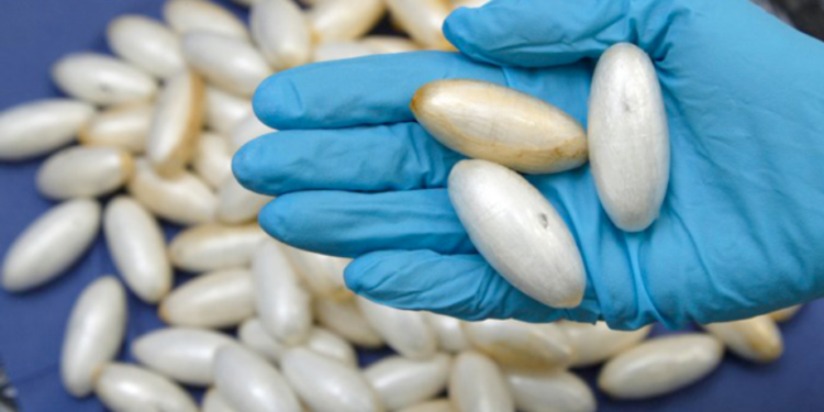 Saisie de 310 kg de cocaïne : 3 Français arrêtés par la gendarmerie de Popenguine 1 Saisie de 310 kg de cocaïne : 3 Français arrêtés par la gendarmerie de Popenguine