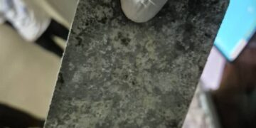 Record de saisies de billets noirs au Sud et à Thiès : Plus de 7 milliards de FCFA