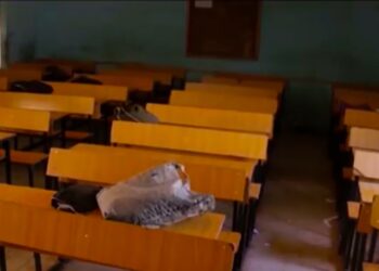 Drame à Thiès : Un enseignant attaqué et tué