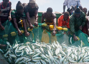 Diomaye Faye ordonne d’autres audits