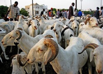 Les urgences annoncées par le Premier ministre pour les 10 et 14 mai