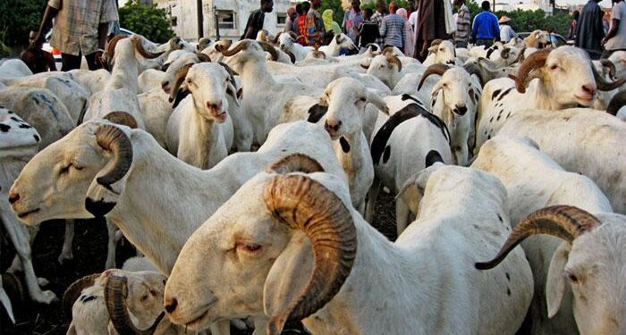 Les urgences annoncées par le Premier ministre pour les 10 et 14 mai