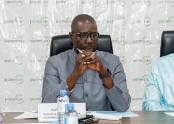 Microfinance : Le ministre Alioune Dione promet un vaste chantier d’assainissement du secteur  5 Microfinance : Le ministre Alioune Dione promet un vaste chantier d’assainissement du secteur