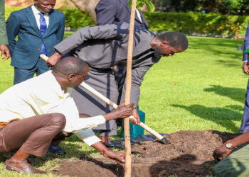 Journée mondiale de l’environnement : l’acte de haute portée posé par le Président Bassirou Diomaye Faye