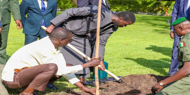Journée mondiale de l’environnement : l’acte de haute portée posé par le Président Bassirou Diomaye Faye 1 Journée mondiale de l’environnement : l’acte de haute portée posé par le Président Bassirou Diomaye Faye