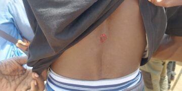 Conflit Qualité végétale Sénégal (Qvs) et la Société Nouvelle Ville :  Le feu continue de couver sur le Site