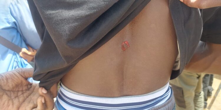 Conflit Qualité végétale Sénégal (Qvs) et la Société Nouvelle Ville :  Le feu continue de couver sur le Site