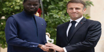 Le Billet du Baadoolo : Le Lion et le Coq, quel match !