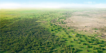 Projet de réhabilitation de 100 millions ha de terres : La Grande muraille verte loin d’atteindre son objectif de 2030