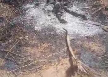 Corps calciné à Mbodiene : le nom de la victime connue 