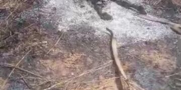 Corps calciné à Mbodiene : le nom de la victime connue 