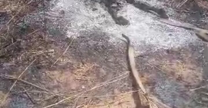 Corps calciné à Mbodiene : le nom de la victime connue 1 Corps calciné à Mbodiene : le nom de la victime connue