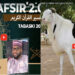 ? |Direct itv| : Tafsir 2.0 sur la Tabaski avec Oustaz Taïb Socé