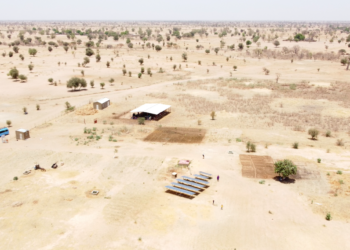 [Reportage] Téourou Boulal ( Fatick) : Terre de résilience !