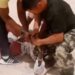 Genou sur le cou d’un employé : Les 2 Chinois et leur interprète sénégalais en prison 6 Genou sur le cou d’un employé : Les 2 Chinois et leur interprète sénégalais en prison