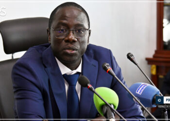 L’agroforesterie : cultiver l’avenir en harmonie avec la nature