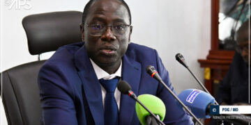 L’agroforesterie : cultiver l’avenir en harmonie avec la nature